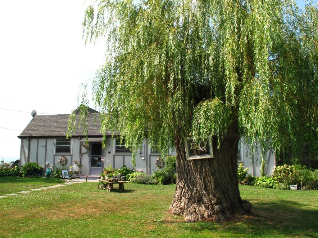 Wheatley伊利湖欧姆斯泰特住宿加早餐旅馆住宿加早餐旅馆 外观 照片